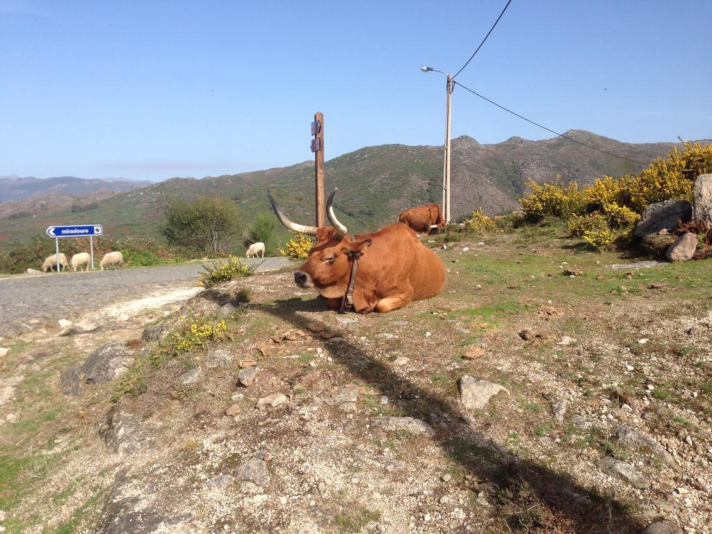 Cantinho Redondo Gerês Entre Ambos os Rios Exterior foto